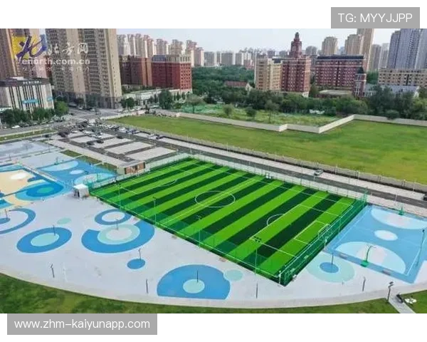 城市体育设施共享平台推动资源优化配置，城市体育公共服务均等化问题